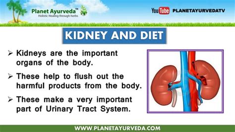 Diet in kidney failure | PPT