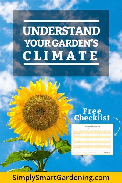 Microclimate Factors In Your Garden What You Need To Know In