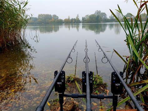 The Top 10 Carp Fishing Tips