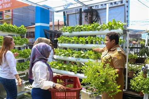 Beri Solusi Pemanfaatan Lahan Sempit Bri Hadirkan Brinita Di Jayapura