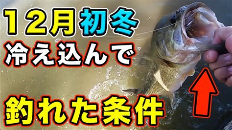 バス釣り12月初冬釣れない人見てください釣れない理由や釣れる時間タイミング場所などを徹底解説してみた冬のバス釣り全然釣れなかっ