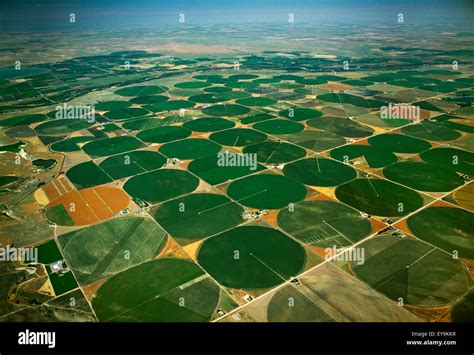 Center Pivot Irrigation Aerial