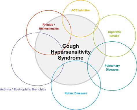 Chronic Cough In Adults European Journal Of Internal Medicine