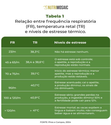 Como Prevenir O Estresse T Rmico Em Bovinos