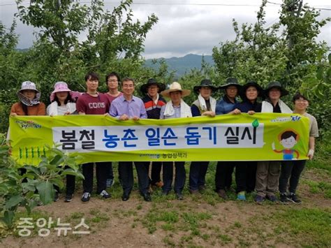 포항시 공무원 및 군 병력 등 농가 일손 돕기