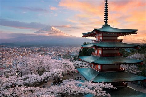 Japan Cherry Blossom Nature Landscape Mountains Mount Fuji