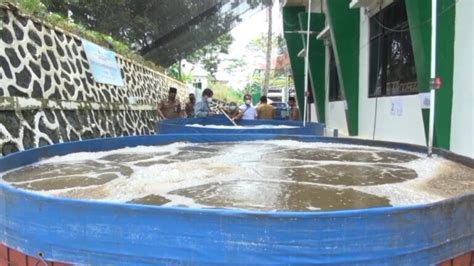 Sistem Perikanan Kolam Bioflok Dikembangkan Di Bumi Bersujud