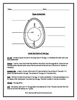 Egg Parts Worksheet