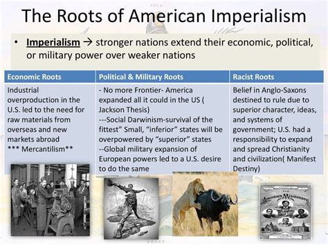 Discover AMERICAN IMPERIALISM ROOTS - 19th Century Insights