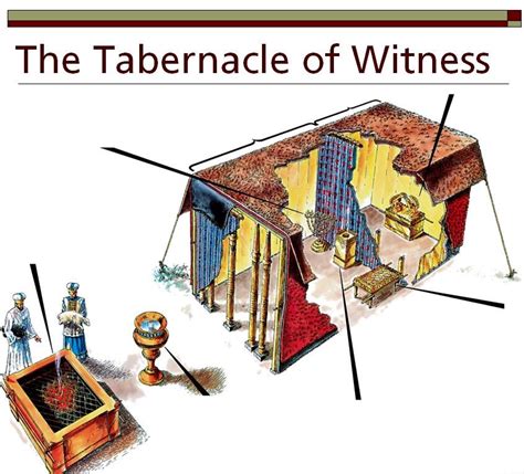 Structure Of The Tabernacle Of Moses