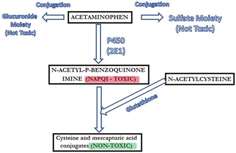 Mechanism Of Action Of Acetaminophen