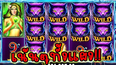 Wild SpellsPragmatic Play เจน นน โบว YouTube