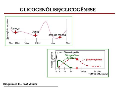 Ppt Glicogênio Glicogênese E Glicogenólise Powerpoint Presentation