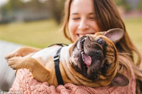 Dogs Trigger Release Of Dopamine In The Same Way As Our Children