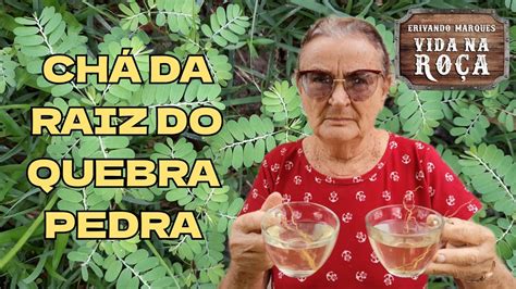 Aprenda como o chá do quebra pedra pode ser eficaz para eliminar pedras