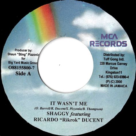 Shaggy Featuring Ricardo Rikrok Ducent It Wasn T Me Pay Id