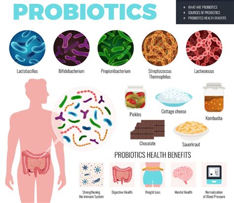 Probiotic Bacteria Benefits