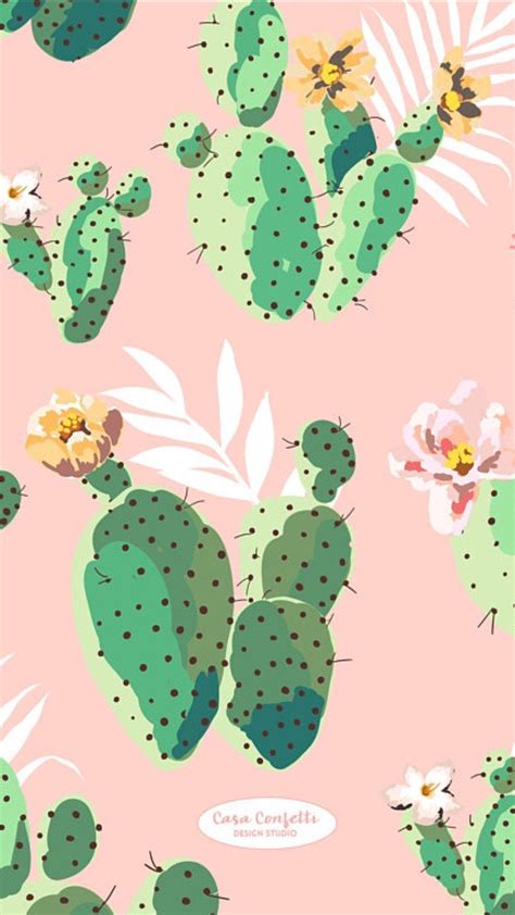 Aesthetic Cactus Wallpapers - Top Free Aesthetic Cactus Backgrounds - WallpaperAccess