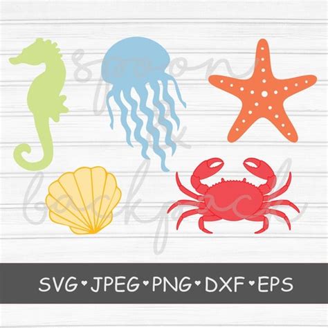 Crab SVG Bundle Crab Monogram Frame SVG Beach SVG Digital Etsy Canada