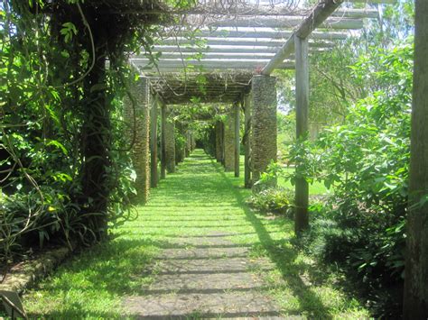 Wordless Wednesday Fairchild Botanical Gardens Vines