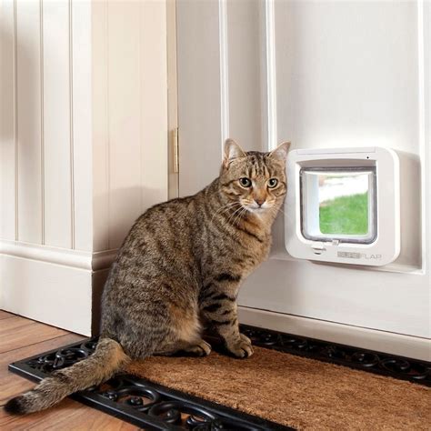 Cat Flap Installation A Complete Guide