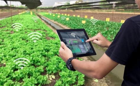 How Smart Crop Monitoring Systems Led By Iot Enhance Farm Productivity