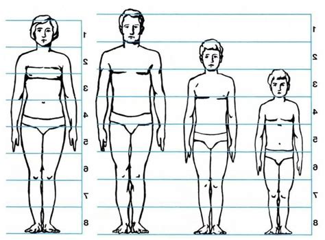 Dessinons le corps humain au crayon étape par étape sur stage de dessin