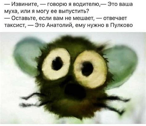 Это ваша муха? | Lustige sprüche, Lustig, Sprüche