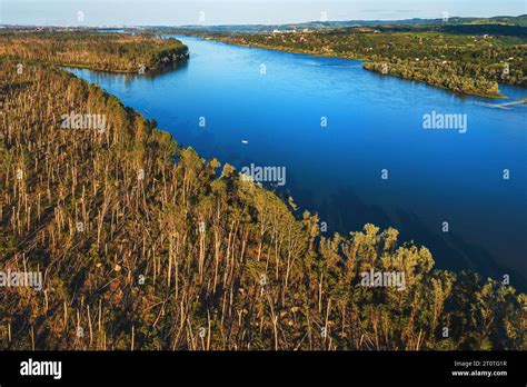 Environmental Damage From Drone Pov Aerial Shot Of Deciduous Forest Landscape Devastated After