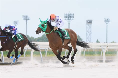 がんばれ！ホッカイドウ競馬 On Twitter 【今日のフレッシュch①】 門別4r（1100m）は3番人気⑦パッションクライ（牡