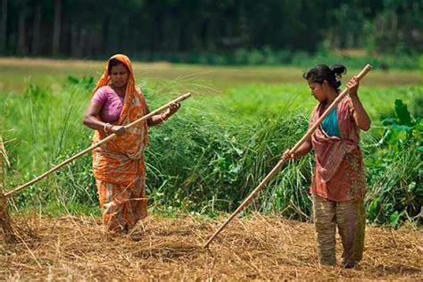 Womens Contribution To Agriculture The Financial Express