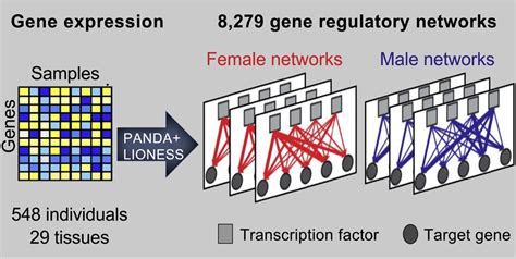 Genotype Tissue Expression Gtex Project Department Of Biostatistics