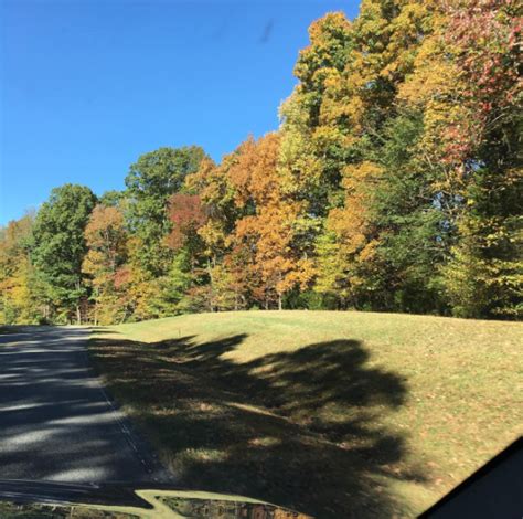 Fall Foliage on the Scenic Natchez Trace Parkway – Natchez Trace Compact