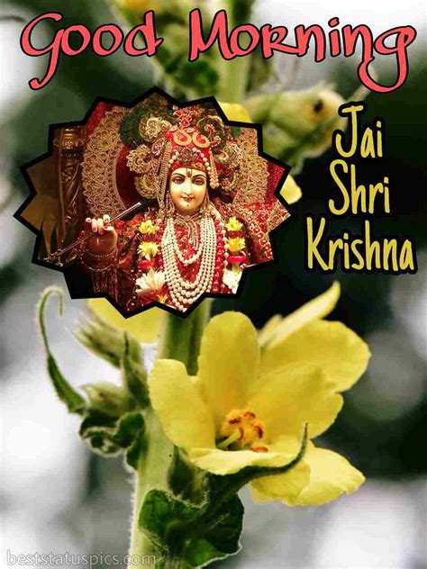 Top 999 Krishna New Good Morning Images Amazing Collection Krishna