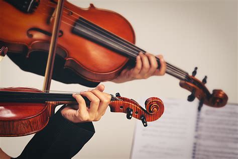 What Is The Difference Between Violin And Viola Violin Institute London