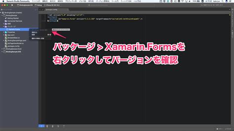 Xamarin Forms コントロール BindablePropertyのデフォルトBindingModeを確認するには