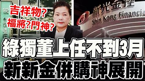 王美花任獨董不到三個月 台新金新光金併購進度神展開 Youtube