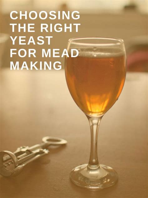 The Best Yeast For Mead Mead Wine Mead Mead Recipe