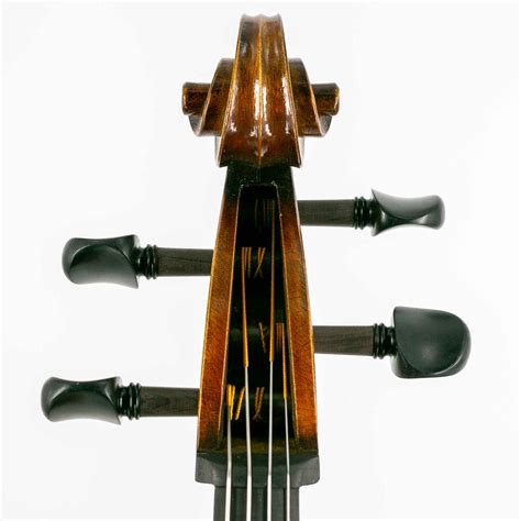 Standard Cello – European wood - Vuokrasoitin