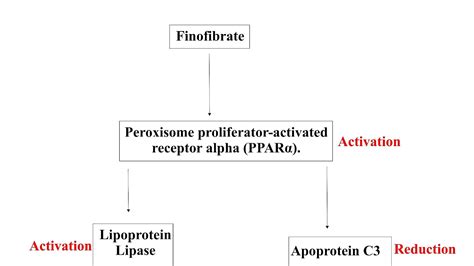 Side Effects Of Fenofibrate - Effect Choices