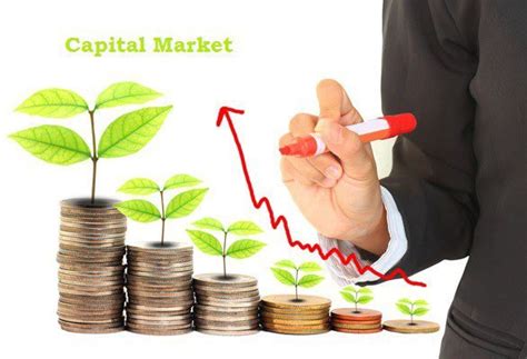 Types of Capital Markets: Debt, Equity, and Derivatives