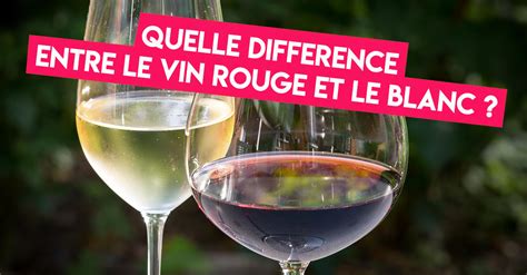 Quelle Est La Diff Rence Entre Le Vin Rouge Et Le Vin Blanc