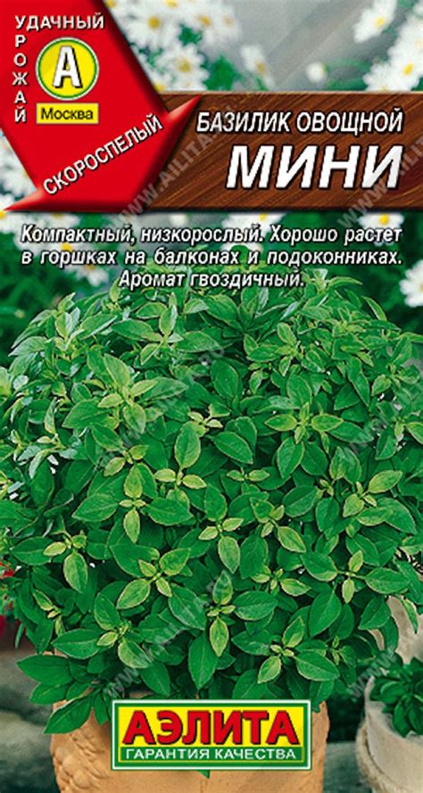 Купить семена Базилик овощной Мини в магазине Первые Семена по цене 21 руб.