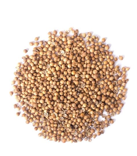 Organic Coriander Seeds 25g 200g Chinese Parsley Coriandrum Sativum