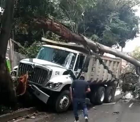 Choca camión de carga contra una camioneta y un árbol en Periférico