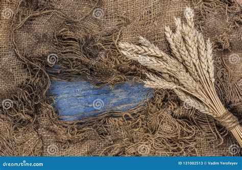 Landbouwstilleven Van Oren Van Tarwe Op Een Houten Achtergrond Stock