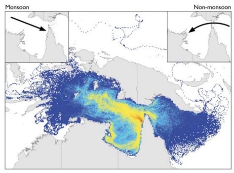 Ghost Nets Australia - OceanEarth Foundation