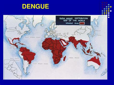 Ppt Dengue Powerpoint Presentation Free Download Id 345568