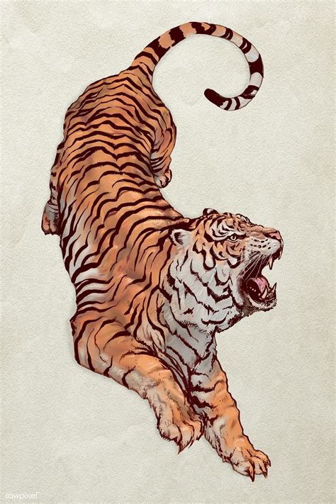 Hand Drawn Roaring Tiger Illustration Premium Image By Rawpixel