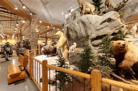 Cabela’s Outfitter - StayInBoise.com